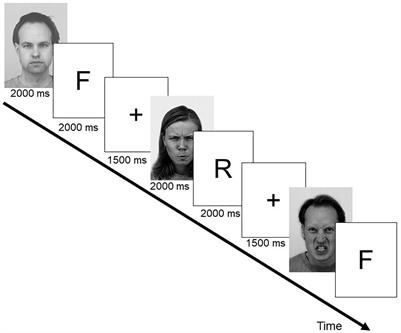 Different ways to forget: Electrophysiological mechanisms underlying item-method directed forgetting of angry and neutral faces